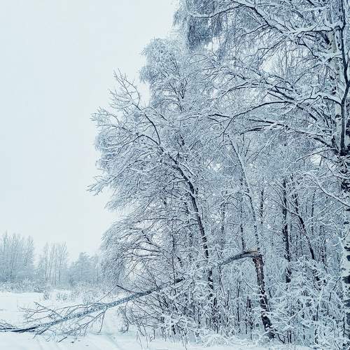 Photo #5785459