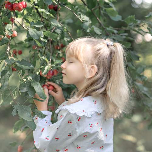 Photo #5785640