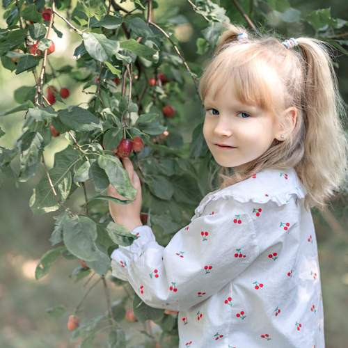 Photo #5785641