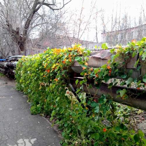 Photo #5786188