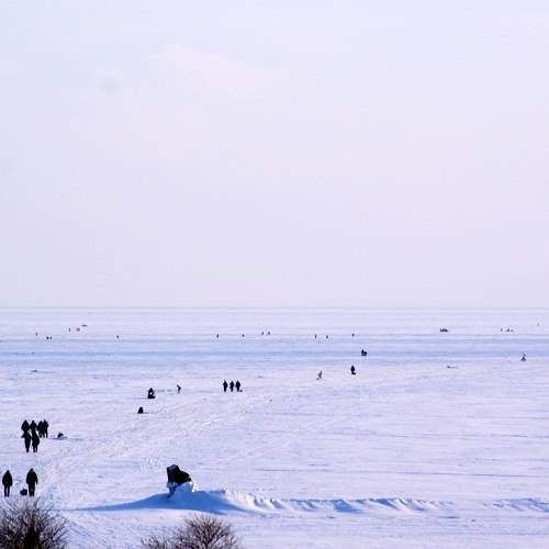 Photo #5786191