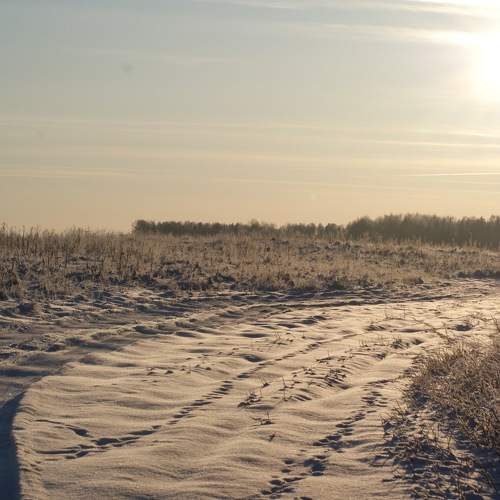 Photo #5786195
