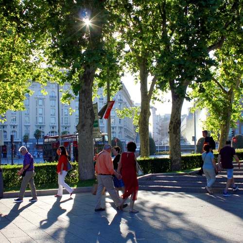 Photo #5786200