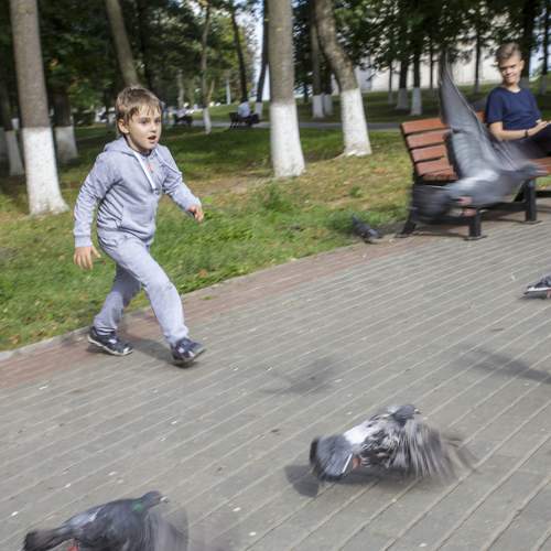 Photo #5786304