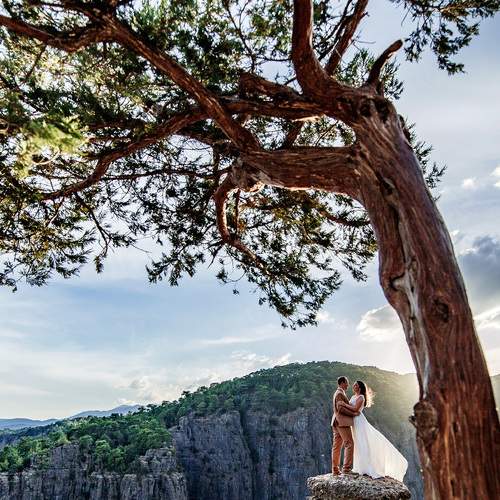 Photo #5786434