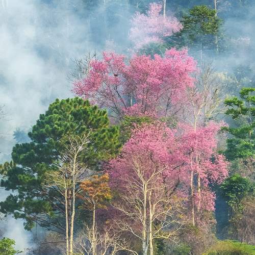 Spring in the highlands