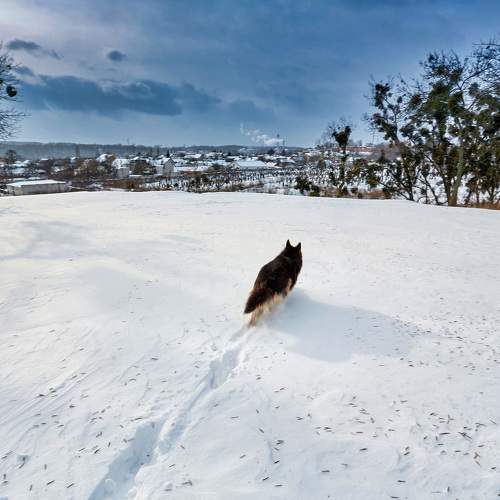 Photo #5786500
