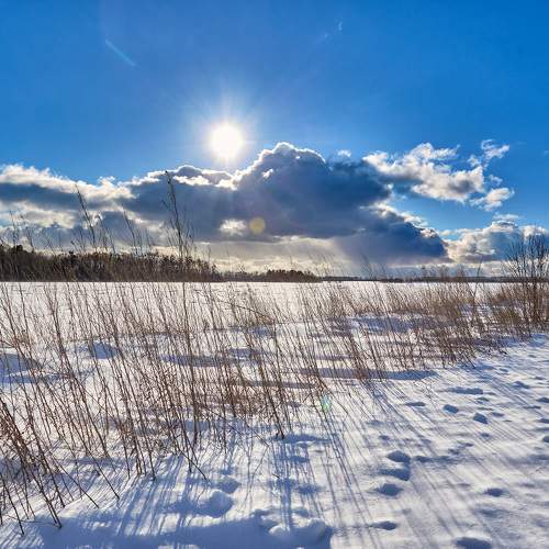Photo #5786515