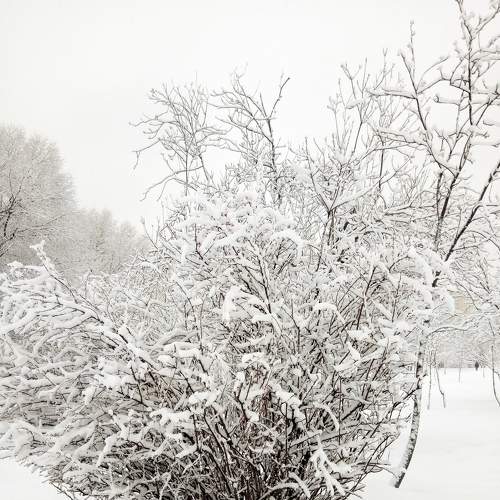 Photo #5786974
