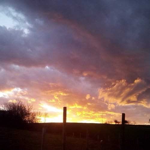 Photo #5787436