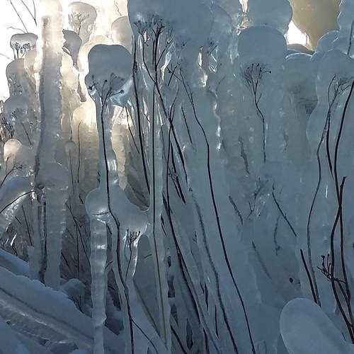 Photo #5788197