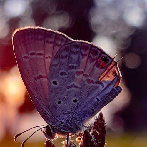 Photo #5788224