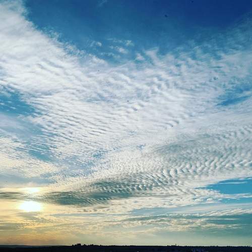 Photo #5788893