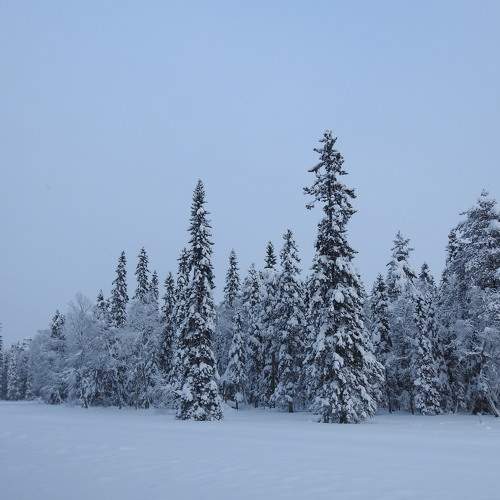 Photo #5789030