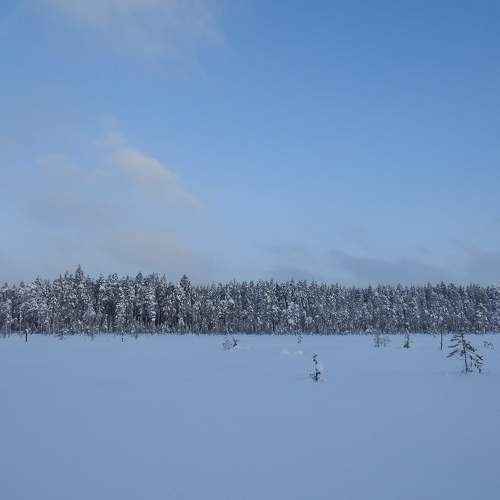 Photo #5789032