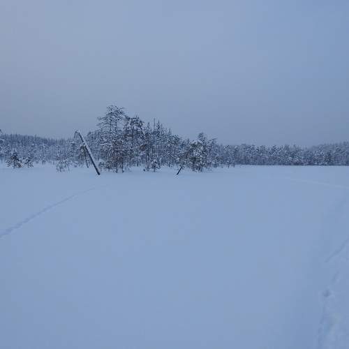 Photo #5789038