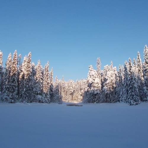 Photo #5789055