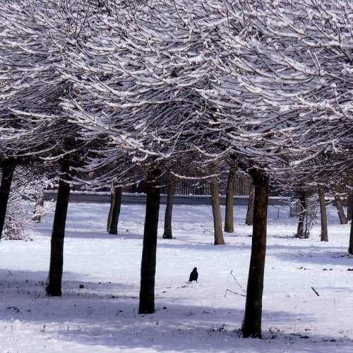 Photo #5789074