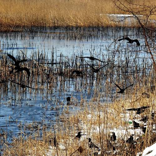 Photo #5789106