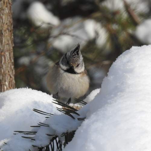 Photo #5789108