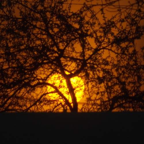 Photo #5789309