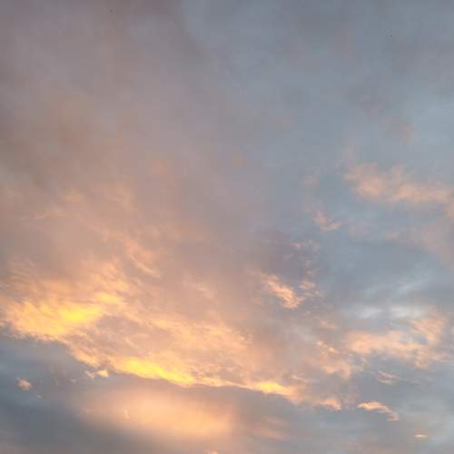 Photo #5789516