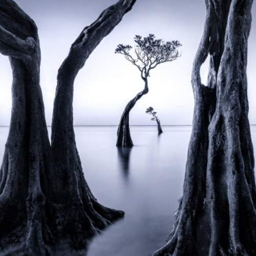 Фотография #5789648