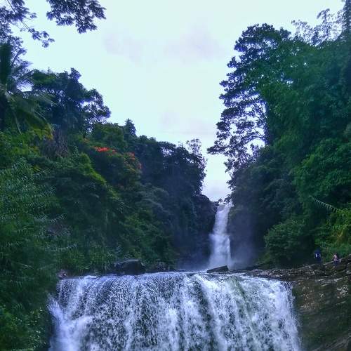 Photo #5789679