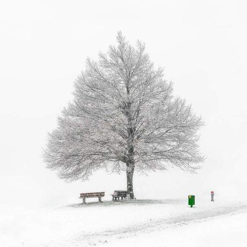 Фотография #5789743