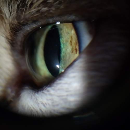 Photo #5789789