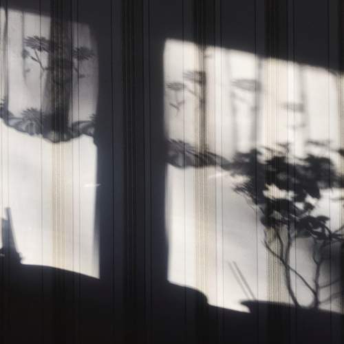 Photo #5789933
