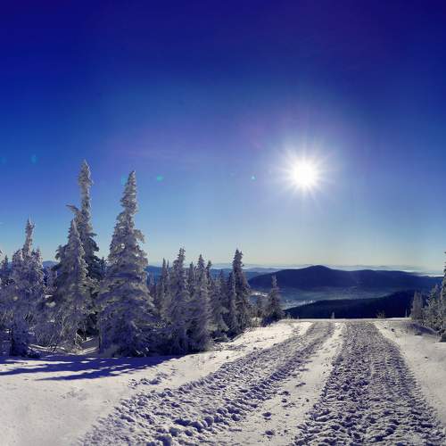 Photo #5789955