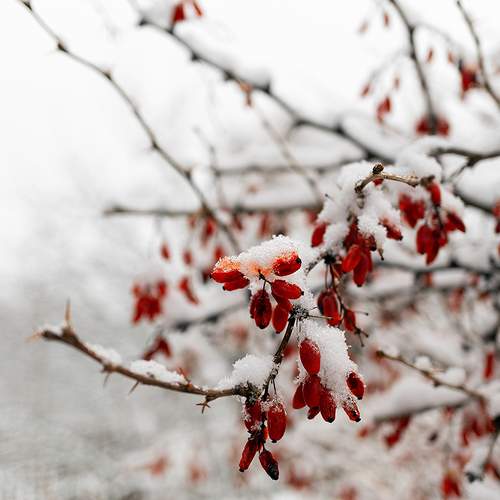 Photo #5789989