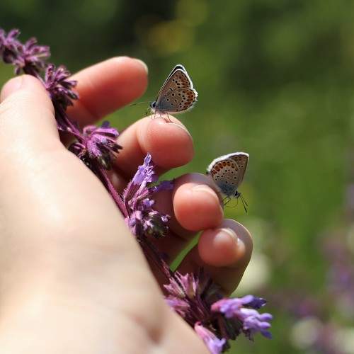 Photo #5790205