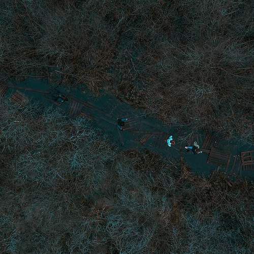 Photo #5790323