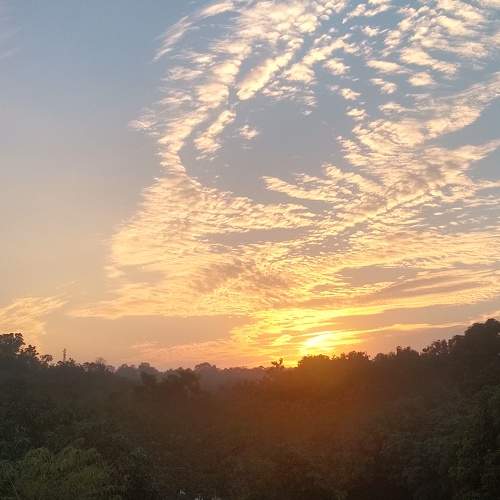 Photo #5790355