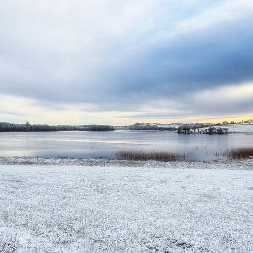 Photo #5790370