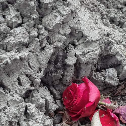 Photo #5790617