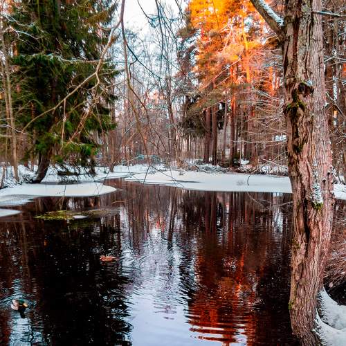 Photo #5790683