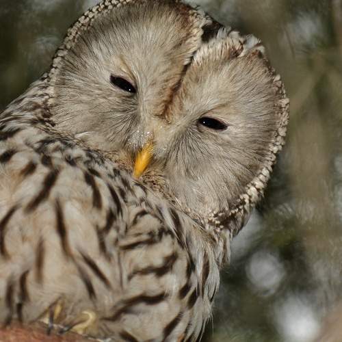Photo #5790692