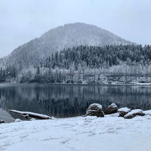 Photo #5790811