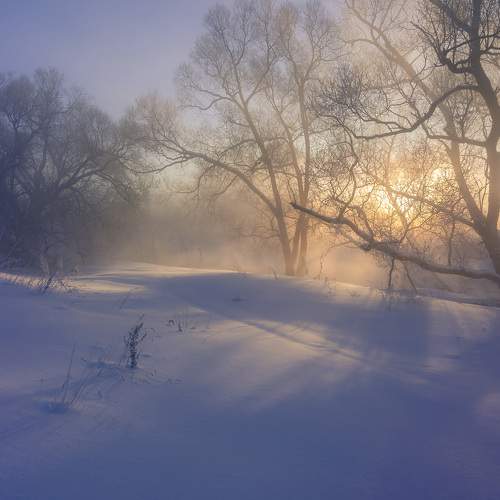 Photo #5790959
