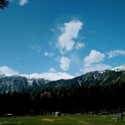 Photo #5790975