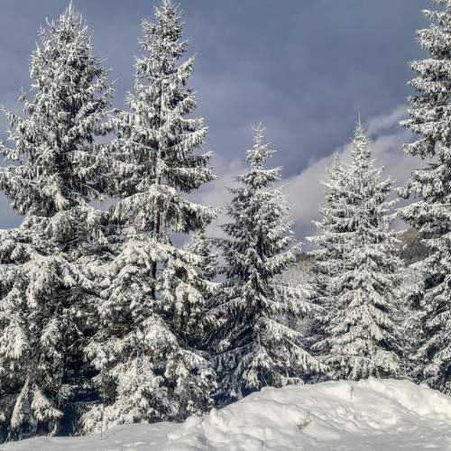 Photo #5791459