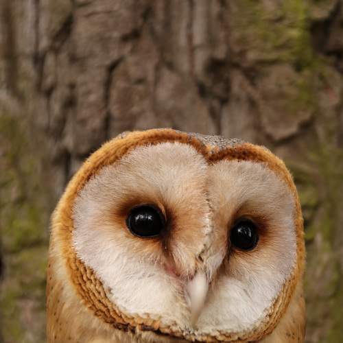 Photo #5791562