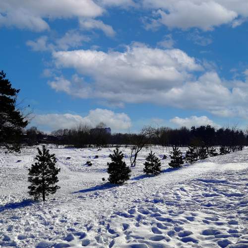Photo #5791648