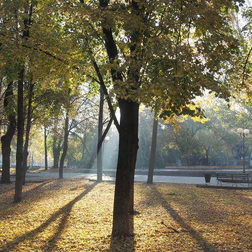Photo #5791653