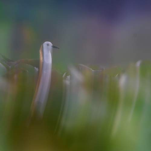 Photo #5791828