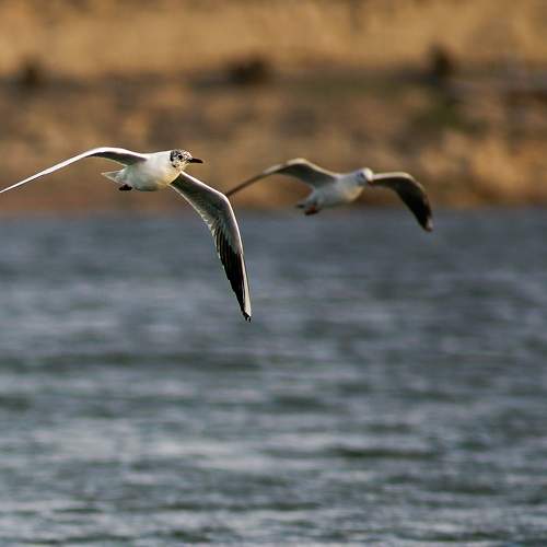 Photo #5792119