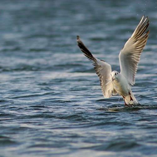 Photo #5792140